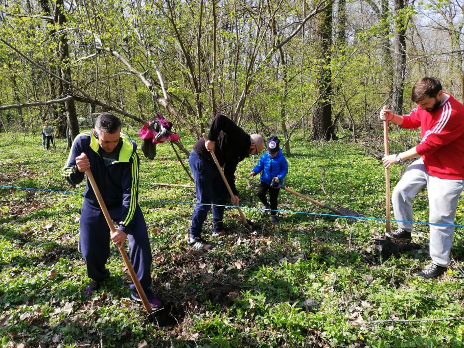 oameni care planteaza copaci